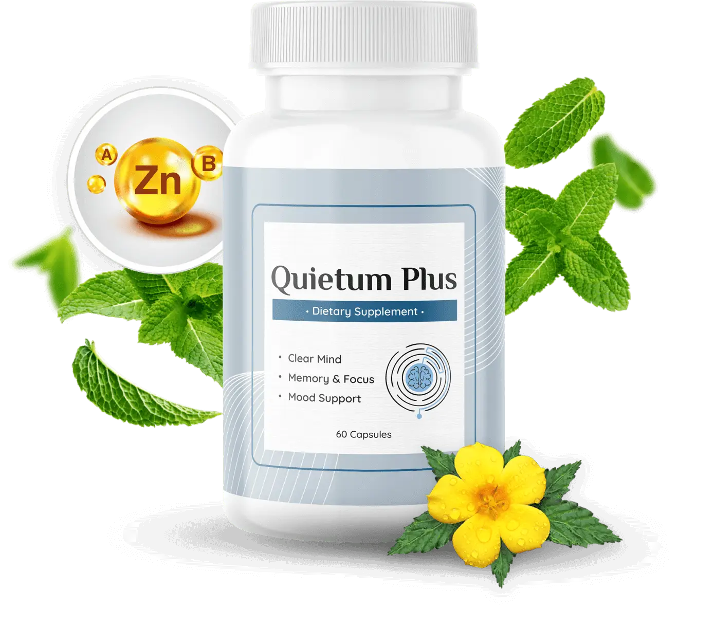 Quietum Plus Supplement